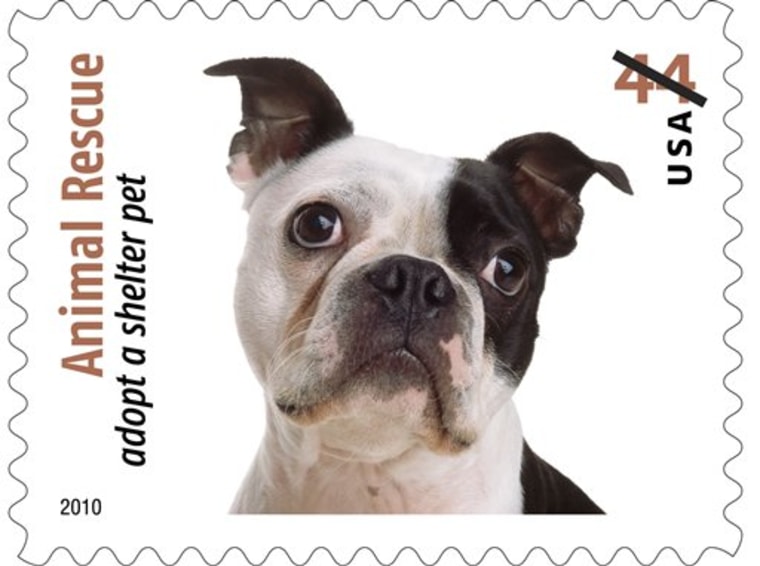 The stamps feature photographs of five cats and five dogs. All ten animals were adopted from a Connecticut shelter.
